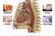 胸腔镜纵隔手术介绍