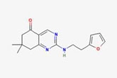 环磷酰胺小冲击治疗系统性红斑狼疮