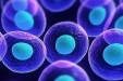 干细胞治疗慢性肾脏病有效吗？
